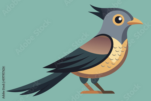  Cuckoo bird vector art illustration