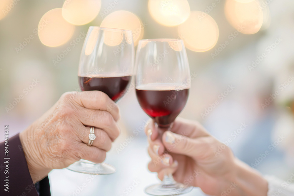 Close-Up of Elderly Couple Toasting with Red Wine Glasses Close-Up of Elderly Couple Toasting with Red Wine Glasses