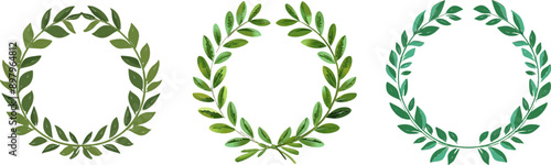 laurel wreath, vector illustration with a white background