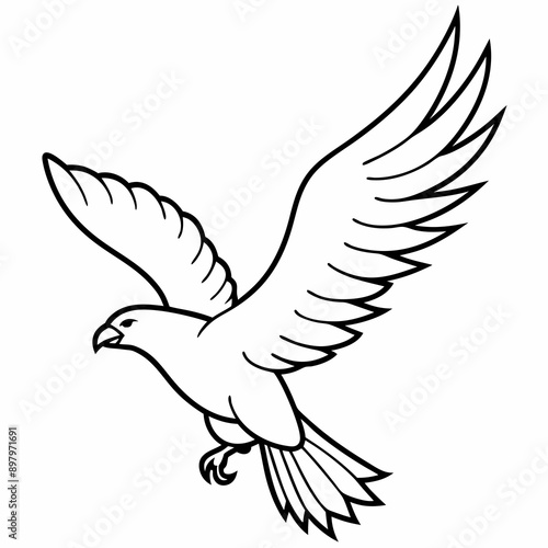 eagle Vector