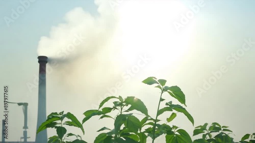 Small leaves or trees with smoke background from industrial factory, environment photo