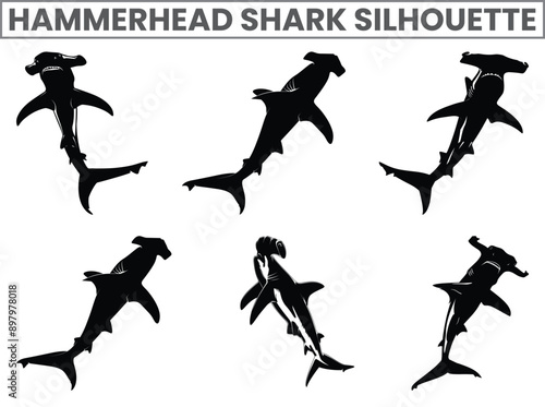 Hand-drawn Hammerhead Shark Silhouettes Vector: Marine Fish and Animals Silhouette. Isolated Mammal on Black and White Background.