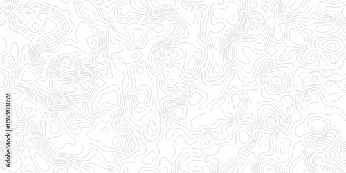 White wave paper curved reliefs abstract background black and white, Background of the topographic line map. Topographic map patterns abstract white topography vector background.