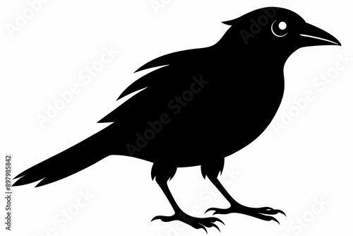  Bird Vector Silhouette illustration. vector illustration. black and white.