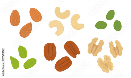 Set of nuts and seeds. Hand drawn vector illustration.  Almond, cashew, pecan, walnut, pistachio, pumpkin seed.