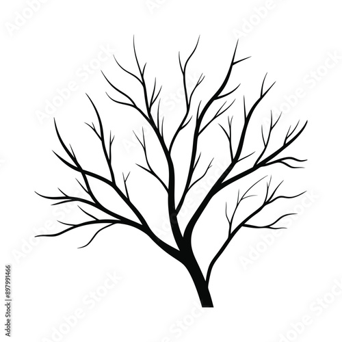 deadly tree branches silhouettes 