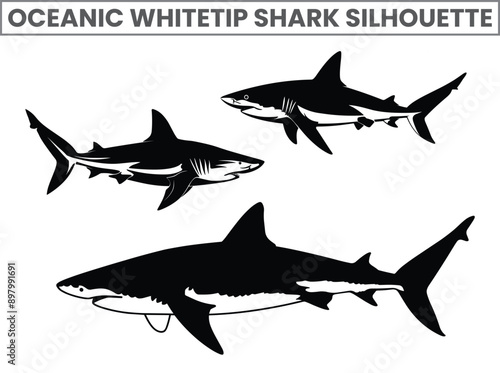 Hand-drawn Oceanic whitetip shark Silhouettes Vector Marine Fish and Animals Silhouette. Isolated Mammal on Black and White Background.