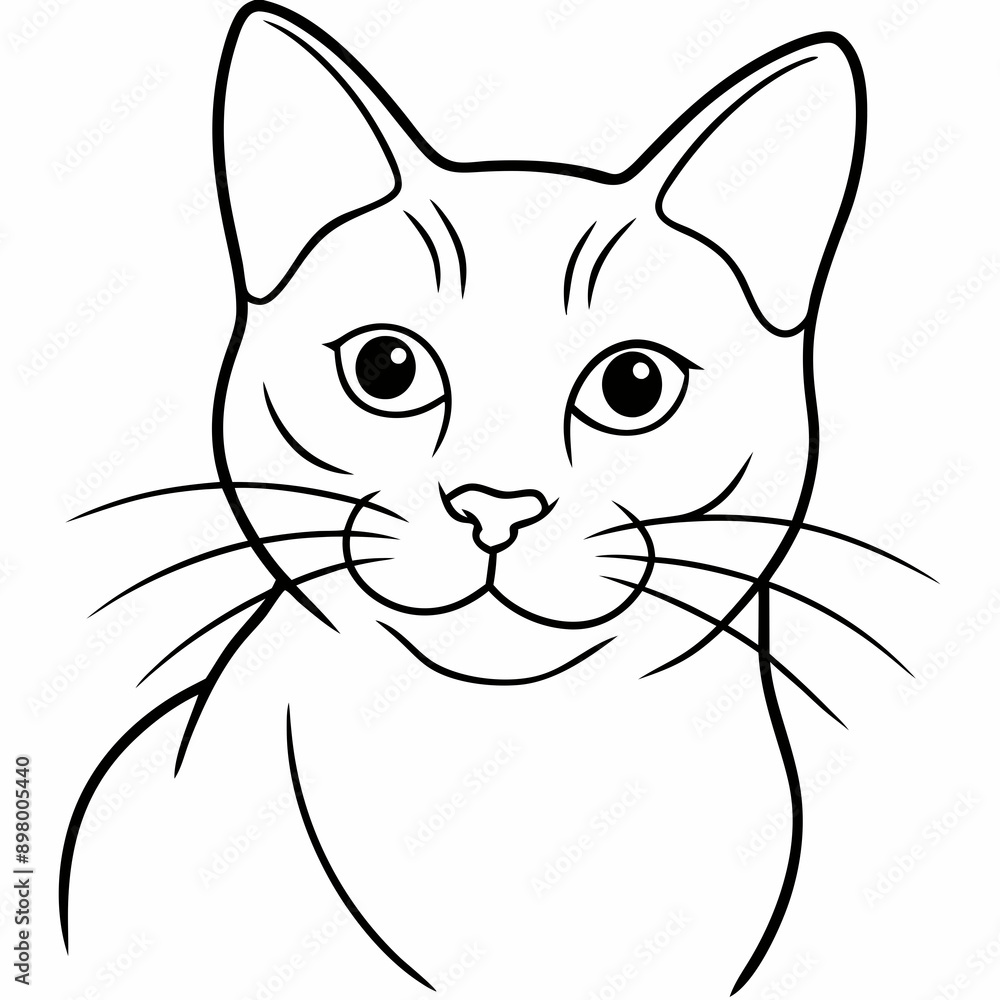 cat Vector cat Vector