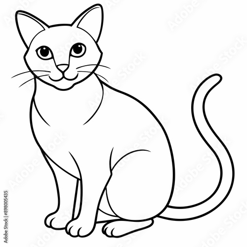 cat Vector