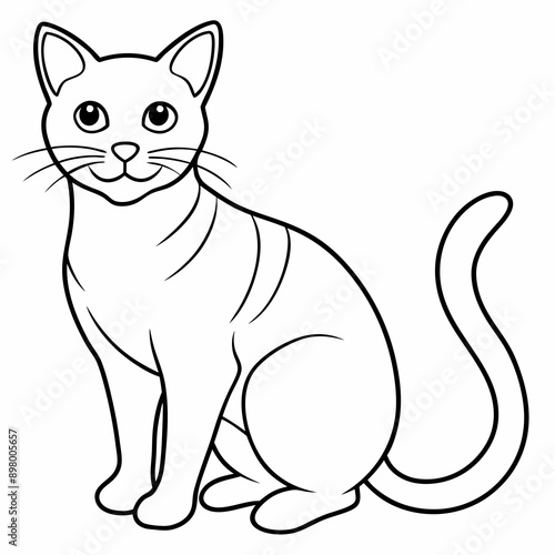 cat Vector