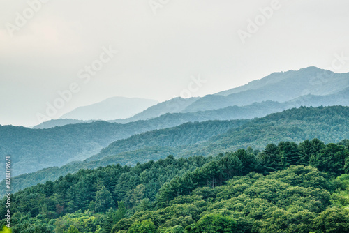 한여름의 울창한 숲과 많은 산,하늘.