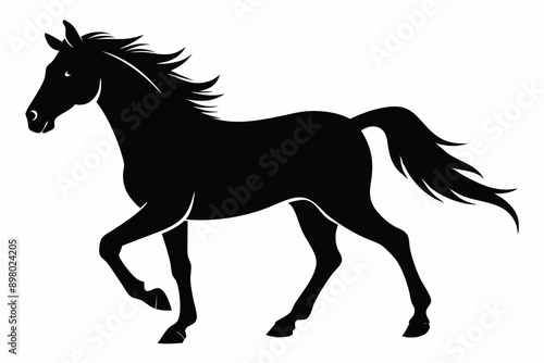  Horse silhouette illustration, horse black silhouette. Vector illustration. black horse silhouette 