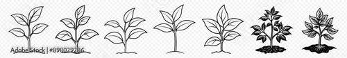 Leaf icon, Tree icon, Silhouette flower ground in sketch style. grow green leaves plant icon in black flat glyph, Seedling growing in soil.Small green sprout.Gardening plant