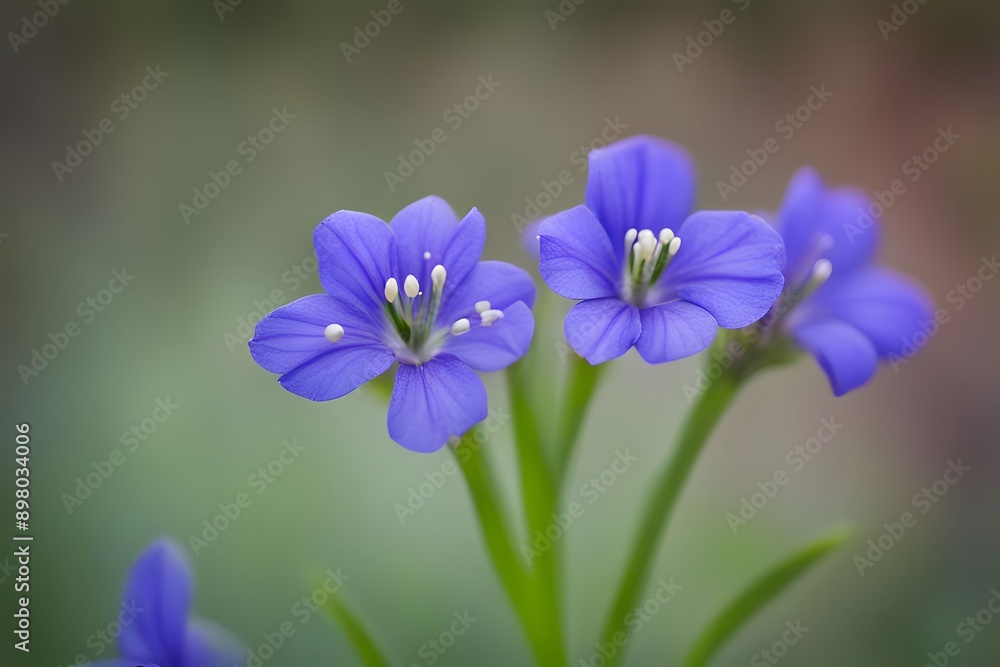 Ohio spiderwort bokeh background, AI Generated Ohio spiderwort bokeh background, AI Generated