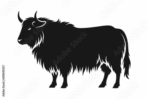 Yak silhouette, Silhouette of domestic yak. Side view. Vector illustration isolated on white background, Domestic Yak Silhouette Vector Illustration.
