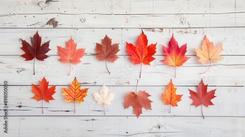 Maple leaves arranged in a pattern copy space, creative display, whimsical, Composite, wooden table photo