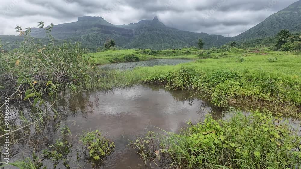 A tranquil water body surrounded by vibrant green grass, with the Sahyadri hills in the background and a cloudy monsoon sky. A tranquil water body surrounded by vibrant green grass, with the Sahyadri hills in the background and a cloudy monsoon sky.