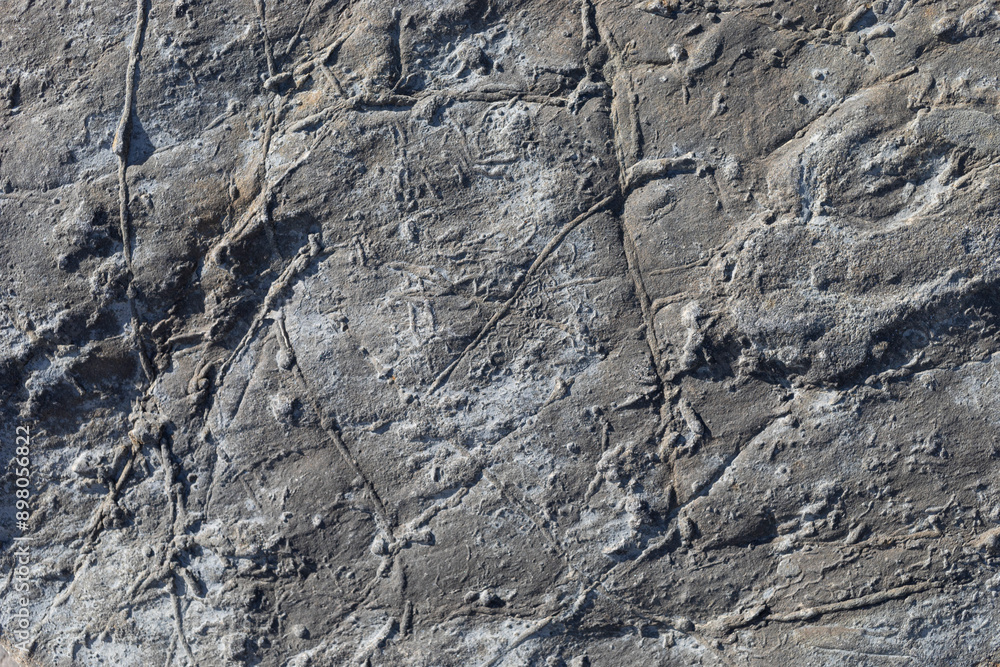 Sea-worn stone texture on a wild coastal beach. Sea-worn stone texture on a wild coastal beach.