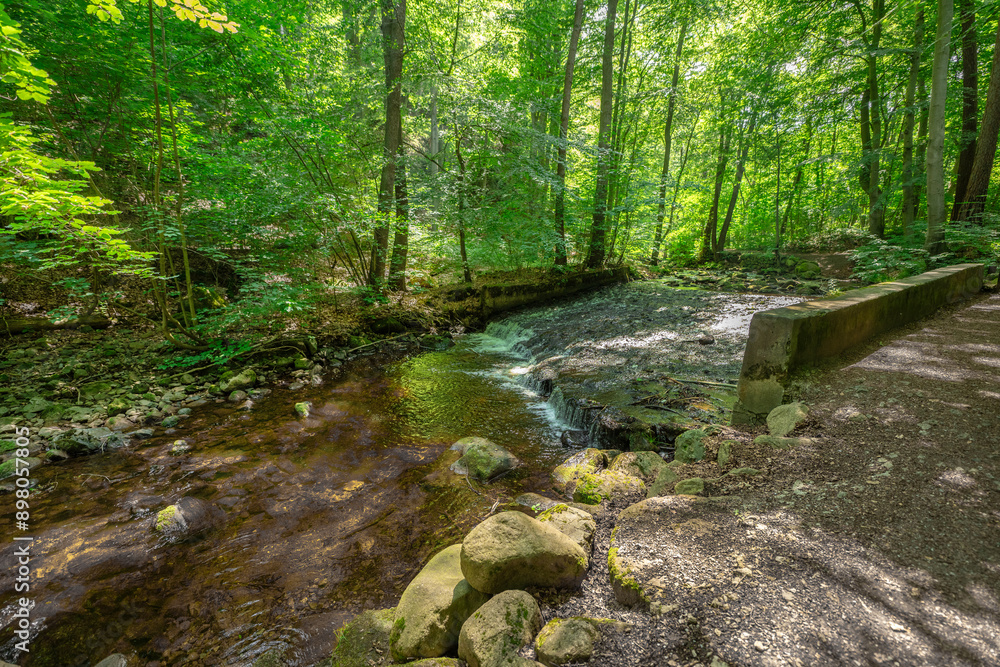 Fototapeta premium Sommerlicher Wanderweg mit Brücke vom Ilsetal nach Plessenburg im Harz