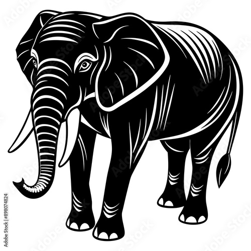 Wallpaper Mural elephant Vector Torontodigital.ca