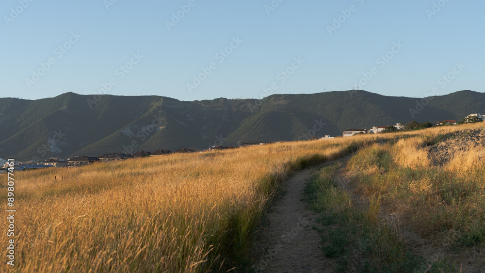 rural landscape, trails in the golden field leading to the mountains rural landscape, trails in the golden field leading to the mountains