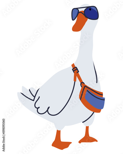 Bird with glasses. White duck with a handbag. A fashionable goose in glasses is standing with a bag. Flat vector illustration, eps10