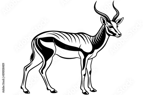Springbok Silhouette, Springbok icon vector illustration