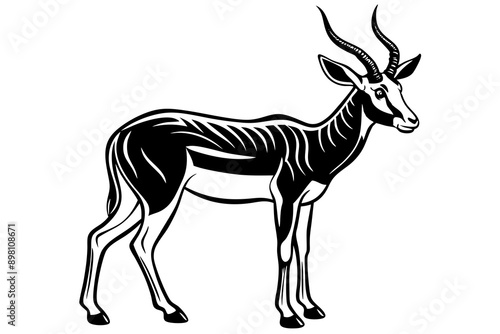 Springbok Silhouette, Springbok icon vector illustration
