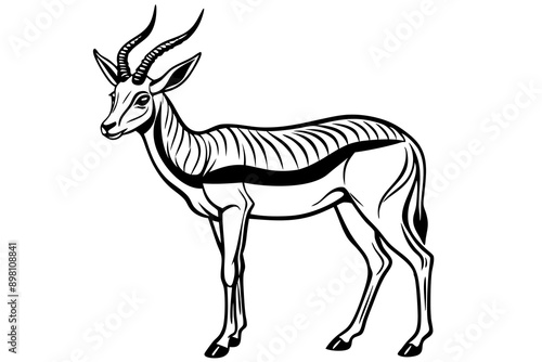 Springbok Silhouette, Springbok icon vector illustration