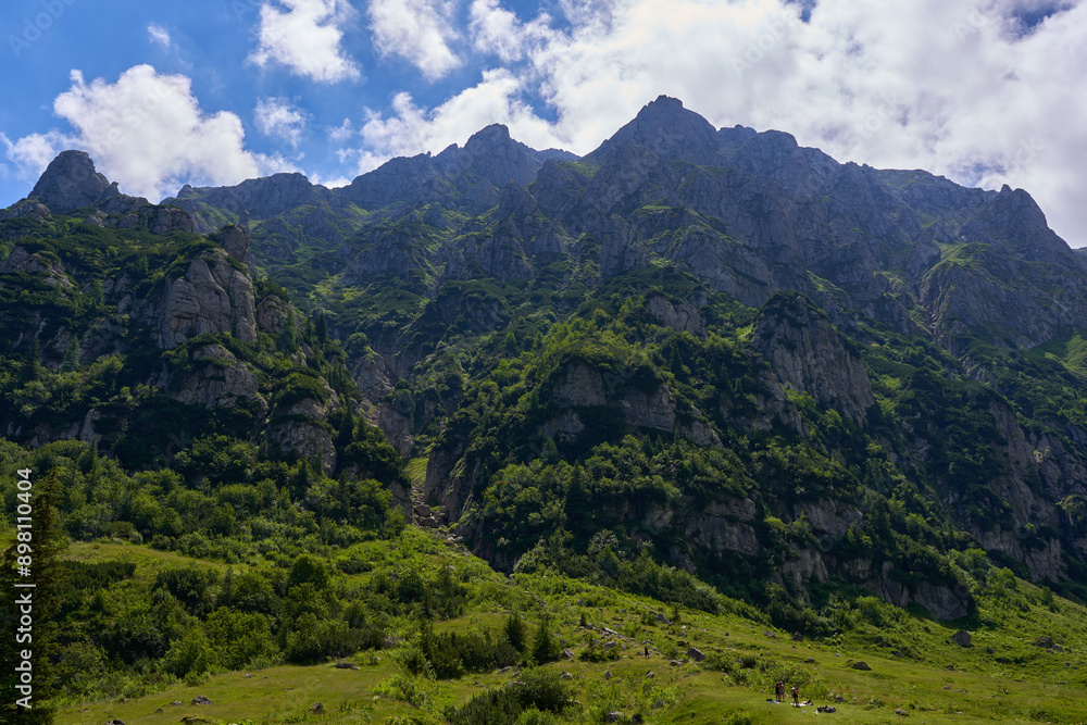 Fototapeta premium Mountain landscape in the summer