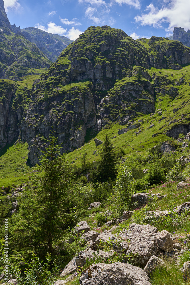 Mountain landscape in the summer Mountain landscape in the summer