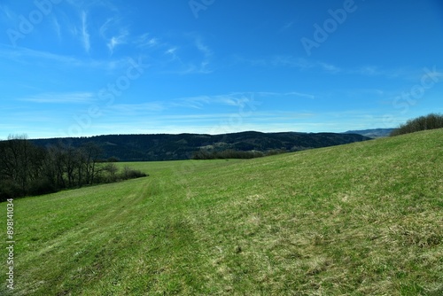 Obraz na płótnie A view of a green meadow in the background of a blue sky and the edge of the forest w salonie