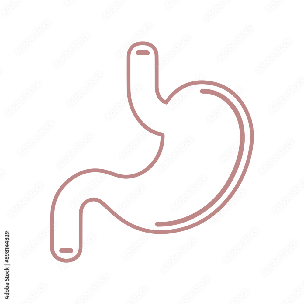 Stomach vector line icon flat design Stomach vector line icon flat design