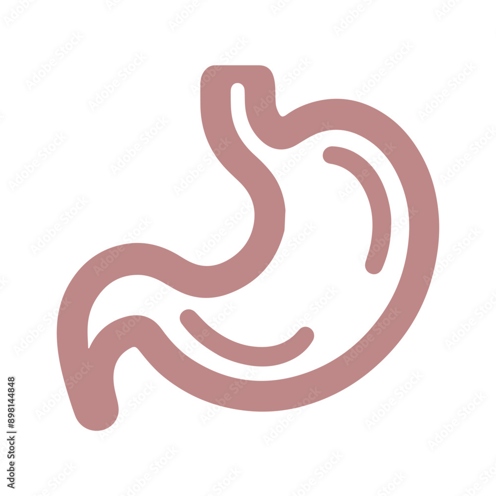Stomach vector line icon flat design Stomach vector line icon flat design