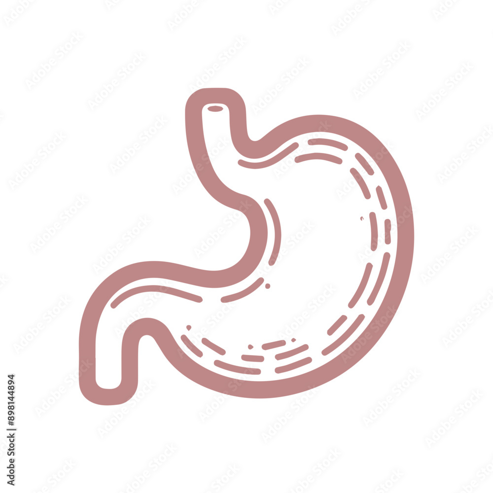 Stomach vector line icon flat design Stomach vector line icon flat design