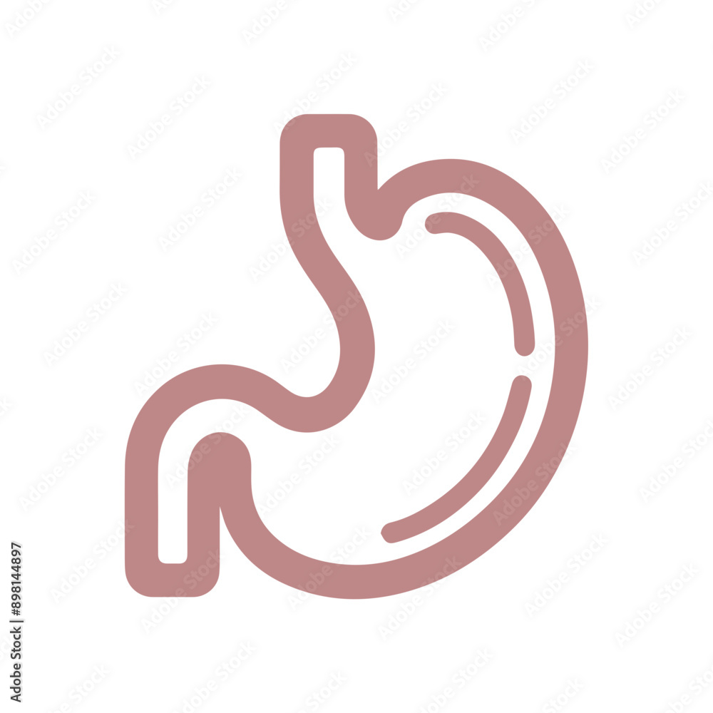 Stomach vector line icon flat design Stomach vector line icon flat design