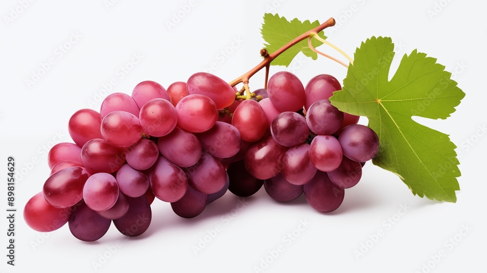 Obraz premium Grapes isolated on transparent or white background, png