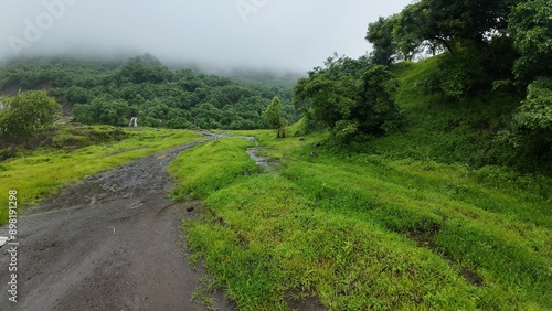 Lush green meadow in the Sahyadri hills during monsoon season, surrounded by water, vibrant and refreshing.