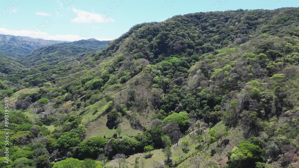 Drone flight in overforested terrain Drone flight in overforested terrain