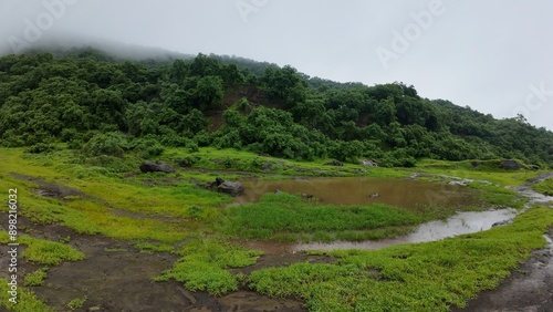 Lush green meadow in the Sahyadri hills during monsoon season, surrounded by water, vibrant and refreshing.