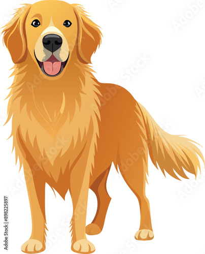 Golden Retriever  Dog  vector style,Clipart , Illustration with white background