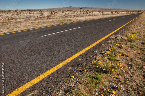 Road N9 in South Africa photo