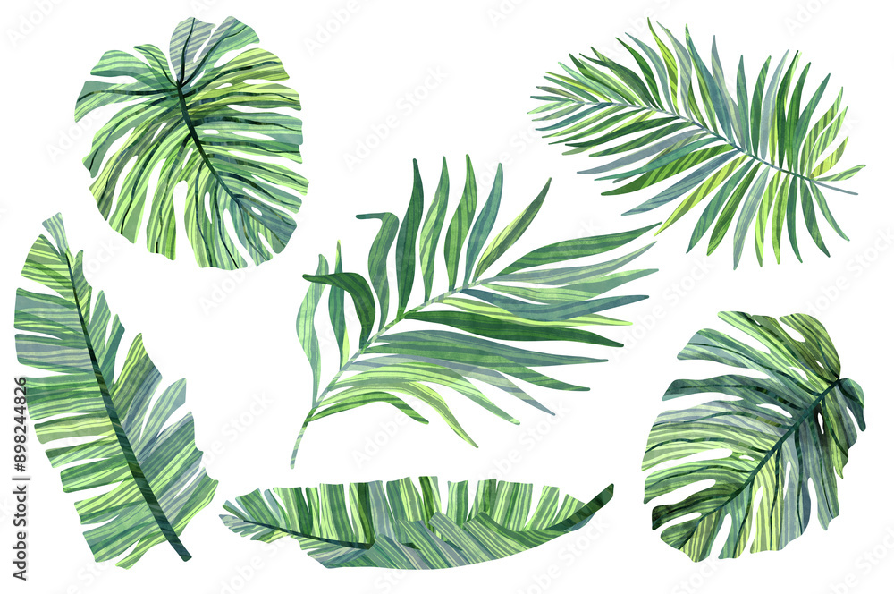 Set of tropical palm leaves: monstera, banana leaves, palm. Watercolor leaves clipart Set of tropical palm leaves: monstera, banana leaves, palm. Watercolor leaves clipart