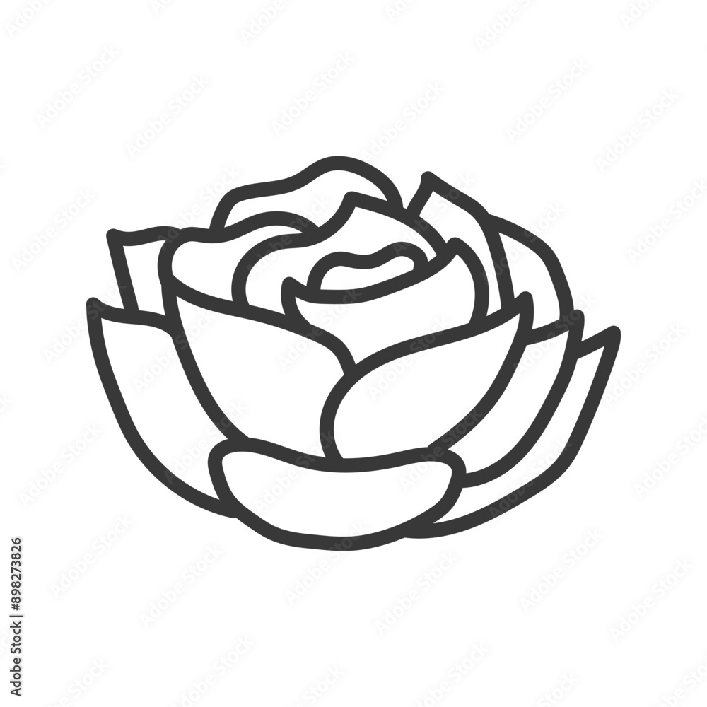 Rose flower icon line design illustration Rose flower icon line design illustration