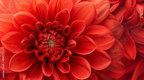 A close-up of a red flower with a green center at its heart
