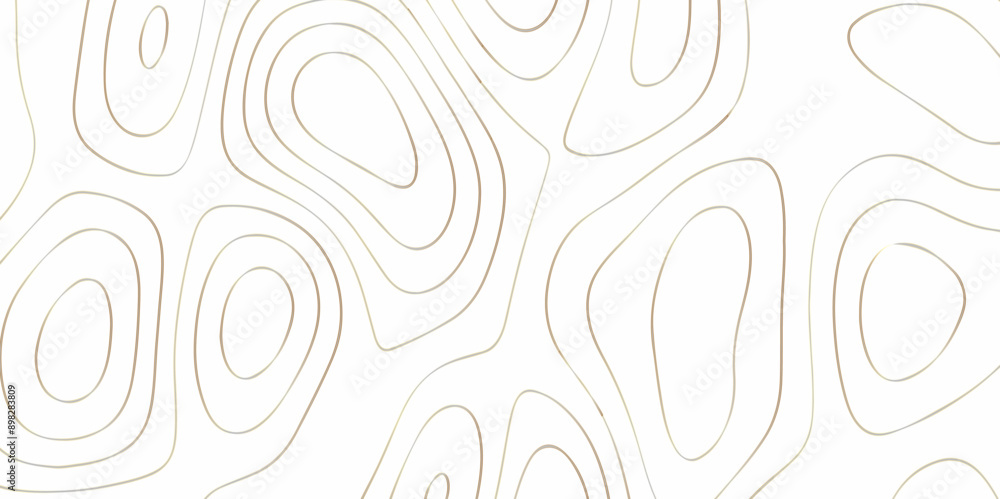 Abstract design with black and white abstract papercut and multi-layer cutout geometric pattern on vector Topographic canyon geometric map relief texture with curved layers beautiful design. Abstract design with black and white abstract papercut and multi-layer cutout geometric pattern on vector Topographic canyon geometric map relief texture with curved layers beautiful design.