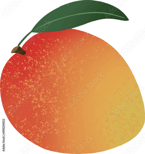 Color mango fruit illustration icon