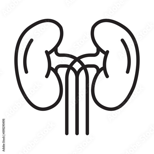 kidney icon symbol