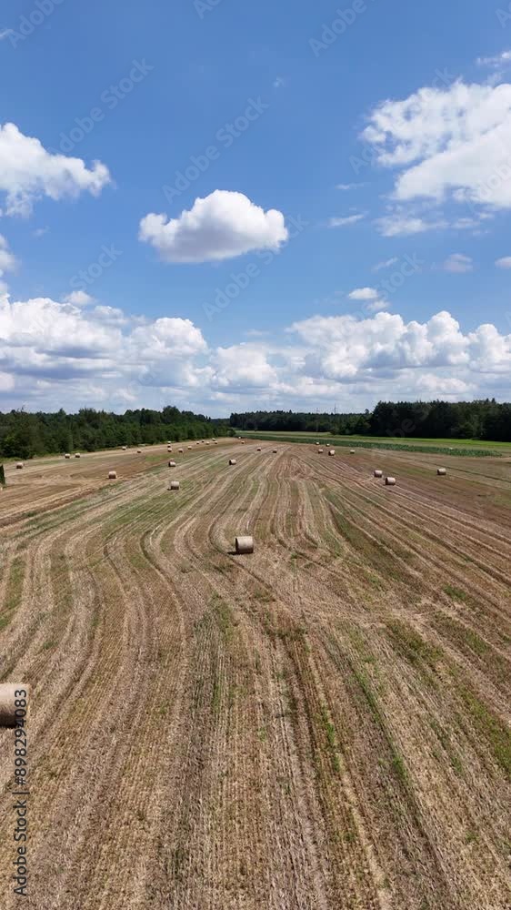 Drone videos, top view of cultivated fields, typical polish landscape Drone videos, top view of cultivated fields, typical polish landscape