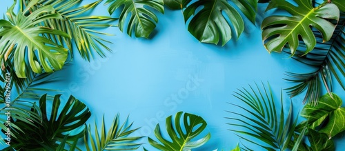 Fototapeta Naklejka Na Ścianę i Meble -  Top view flat lay composition featuring tropical palm and monstera leaves on a blue background with a clipping path isolated for a copy space image enhancing a tropical and jungle aesthetic
